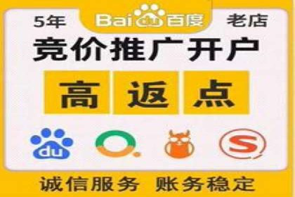 行业领先企业的SEM服务托管策略案例