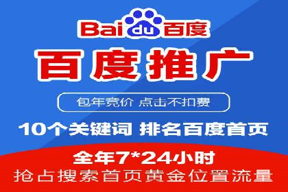 百度竞价广告的创意与执行：成功案例剖析